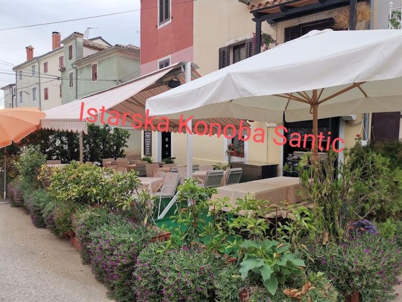 Aisha Apartment Brtonigla Luaran gambar
